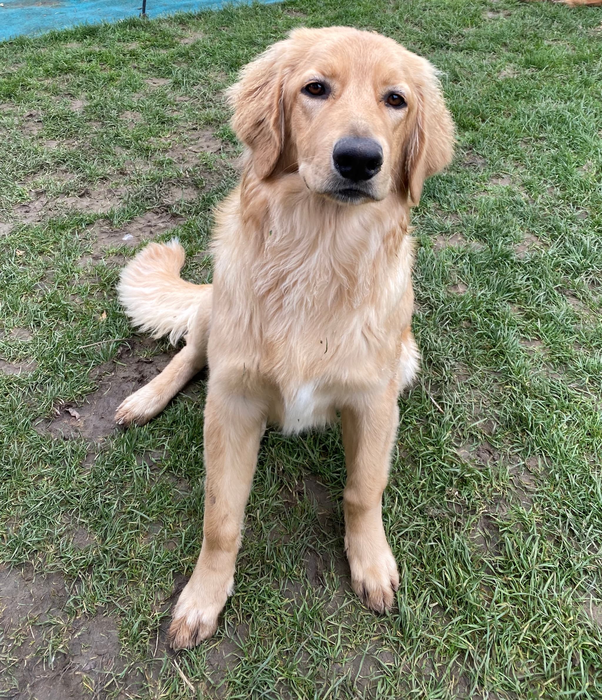 Bailey /images/hunde/bailey/images/20191122_Bailey12.jpg