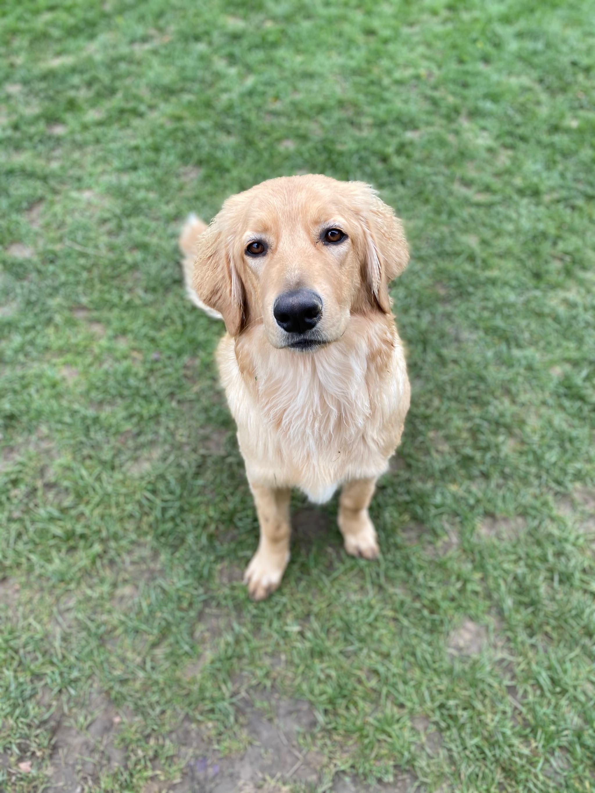 Bailey /images/hunde/bailey/images/20191122_Bailey13.jpg