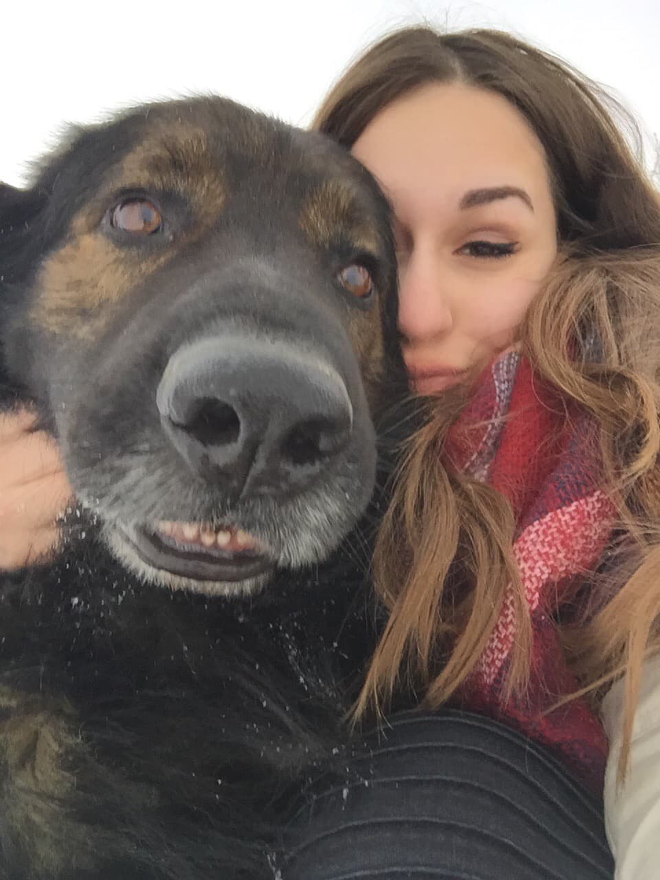 Sam /images/hunde/sam/images/20180724_sam.JPG
