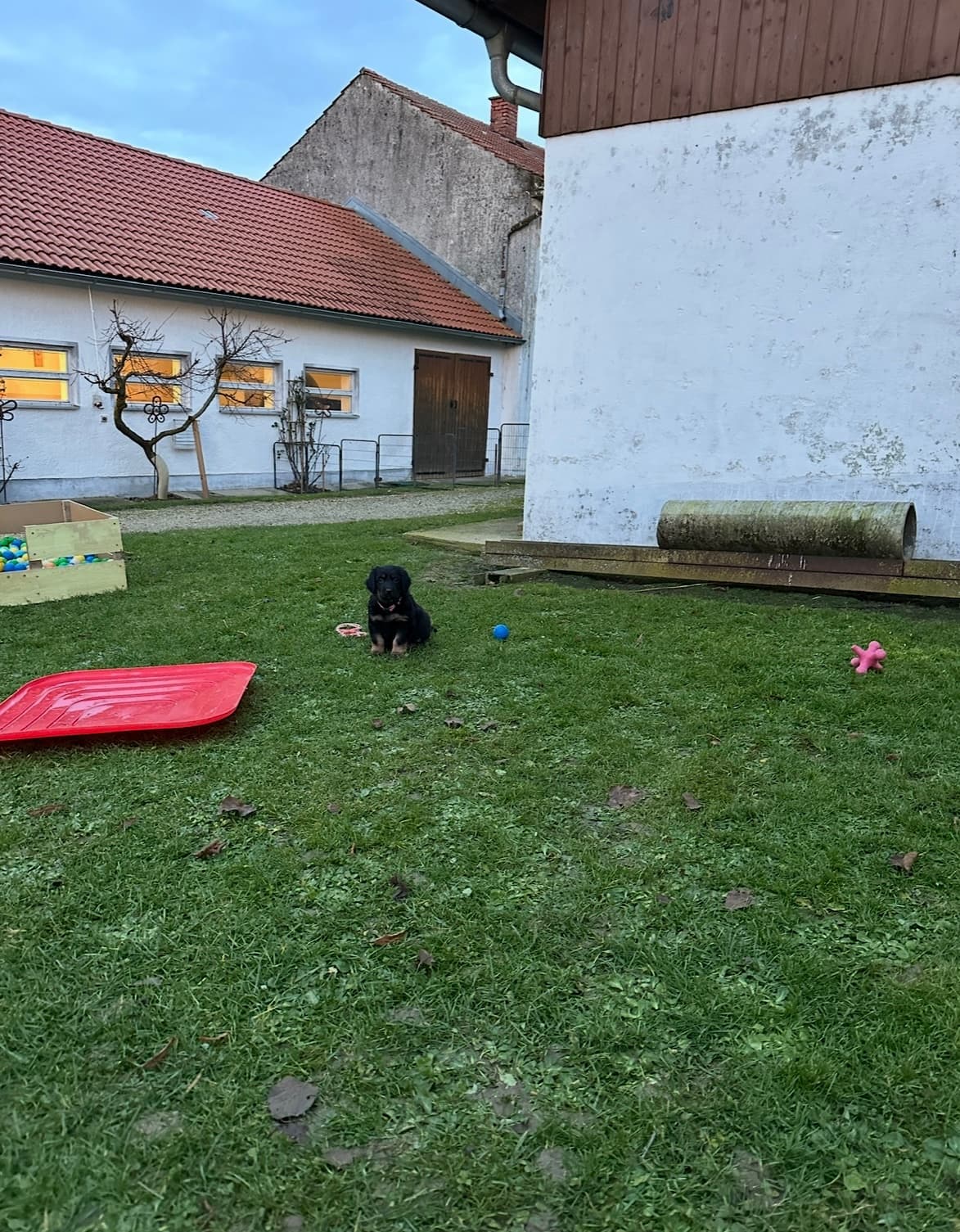 Bild 4 von Unser Weg der Aufzucht