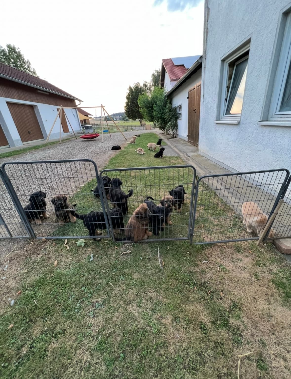 Bild 14 von Unser Weg der Aufzucht
